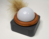 **1 (W1) 木製リング+羽飾り